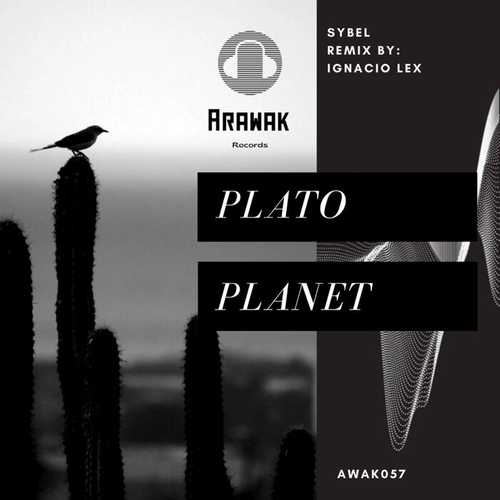 Sybel - Plato Planet [AWAK057]